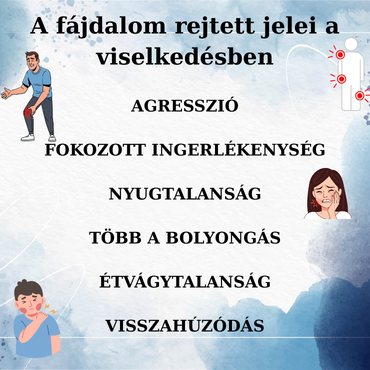 1.Ábra:Ezen az ábrán azt láthatjuk, hogy milyen viselkedés jelezheti azt, hogy demens szerettünknek fájdalmai vannak.